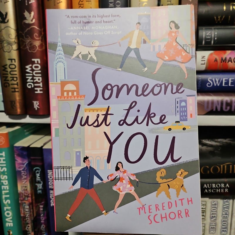 Someone Just Like You