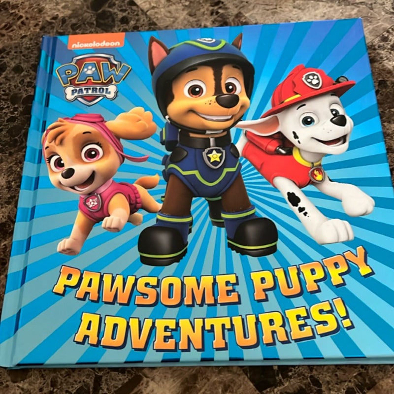 Pawsome Puppy Adventures! (PAW Patrol)