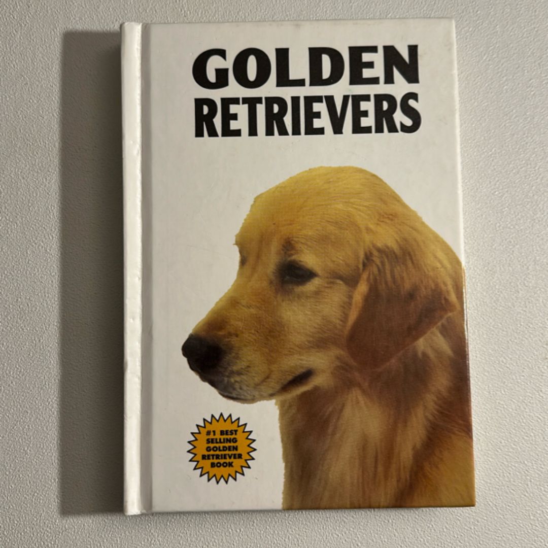 Golden Retrievers