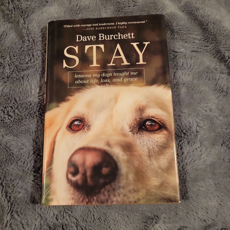 Stay