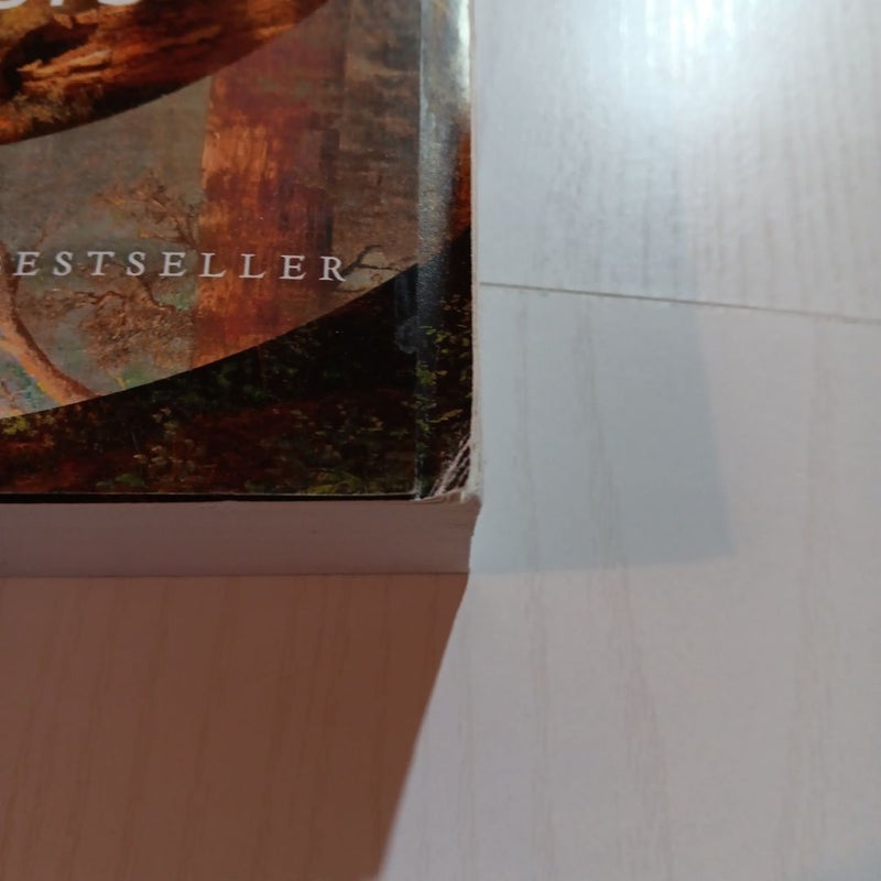 The Overstory
