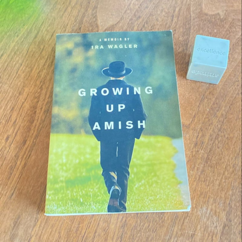 Growing up Amish