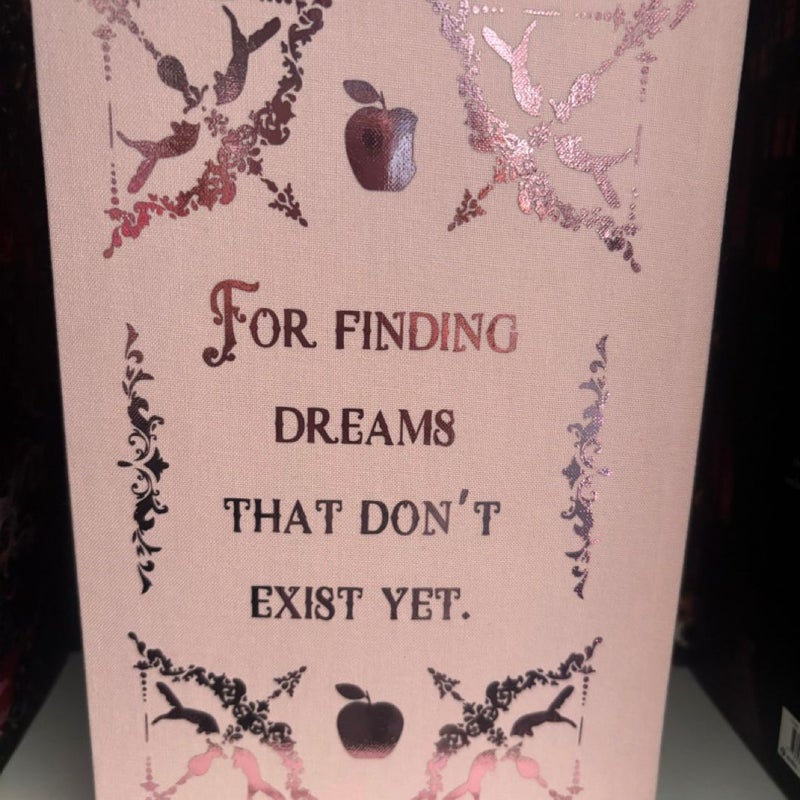 Once Upon A Broken Heart Rebind