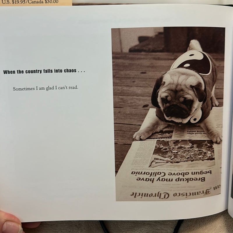 The Tao of Pug by Nancy Levine, Hardcover | Pangobooks