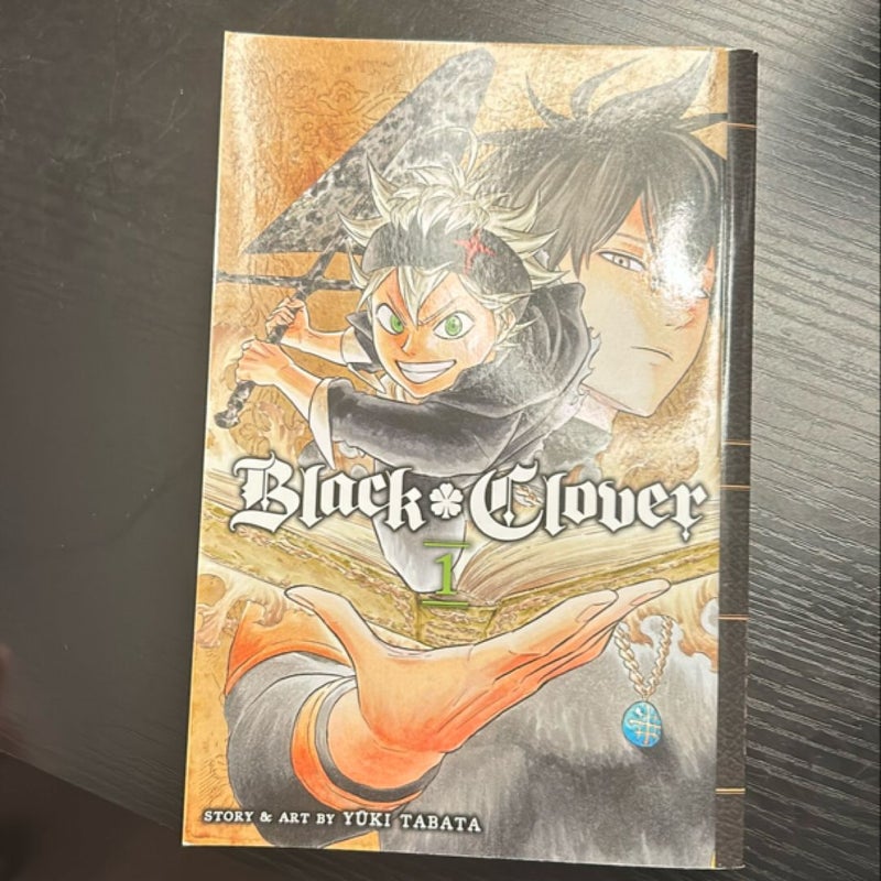 Black Clover, Vol. 1