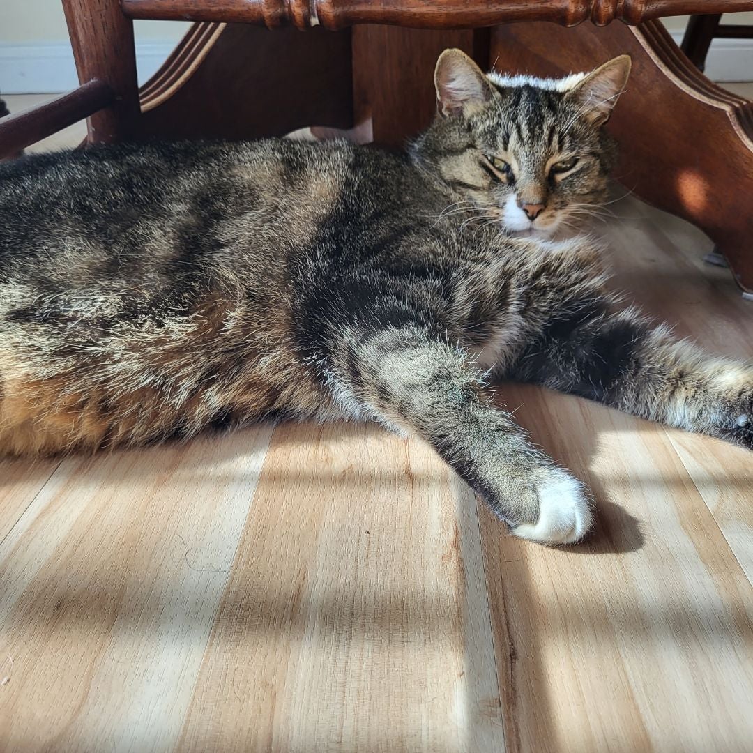 Booklover, Sticker-Hater