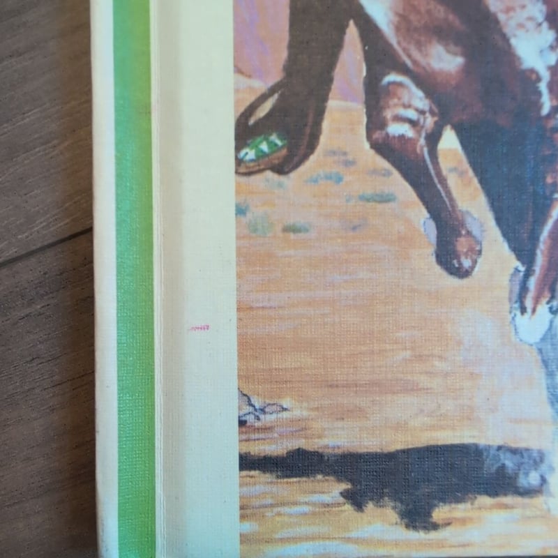 The Story of The Pony Express (1981)