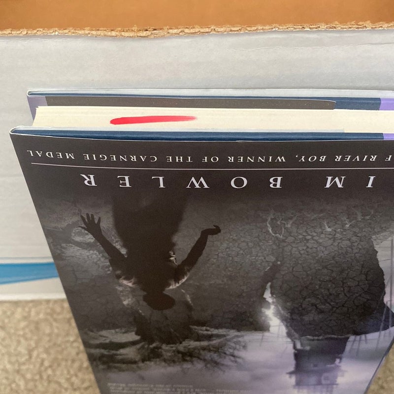 Storm Catchers by Tim Bowler, Hardcover | Pangobooks