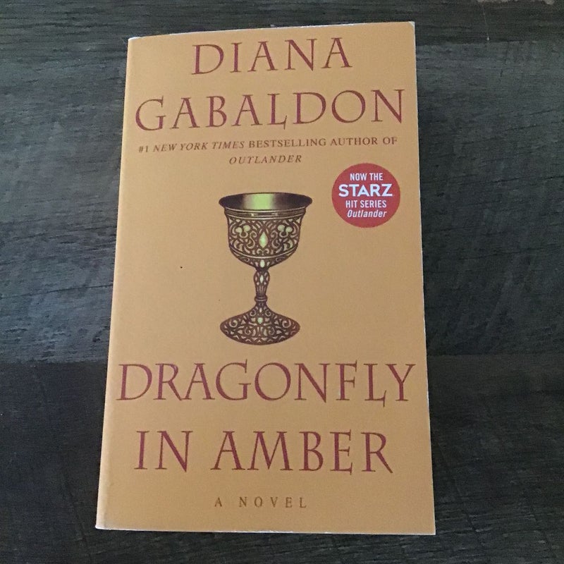 Dragonfly in Amber