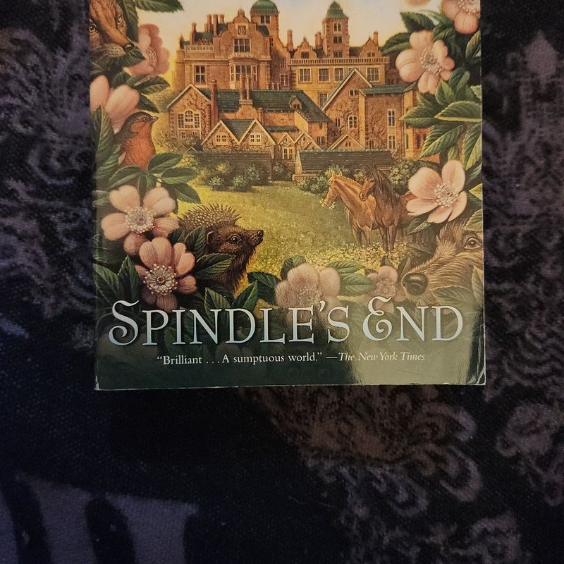 Spindle's End by Robin McKinley , Paperback Pangobooks