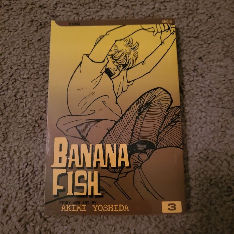 Banana Fish, Vol. 3