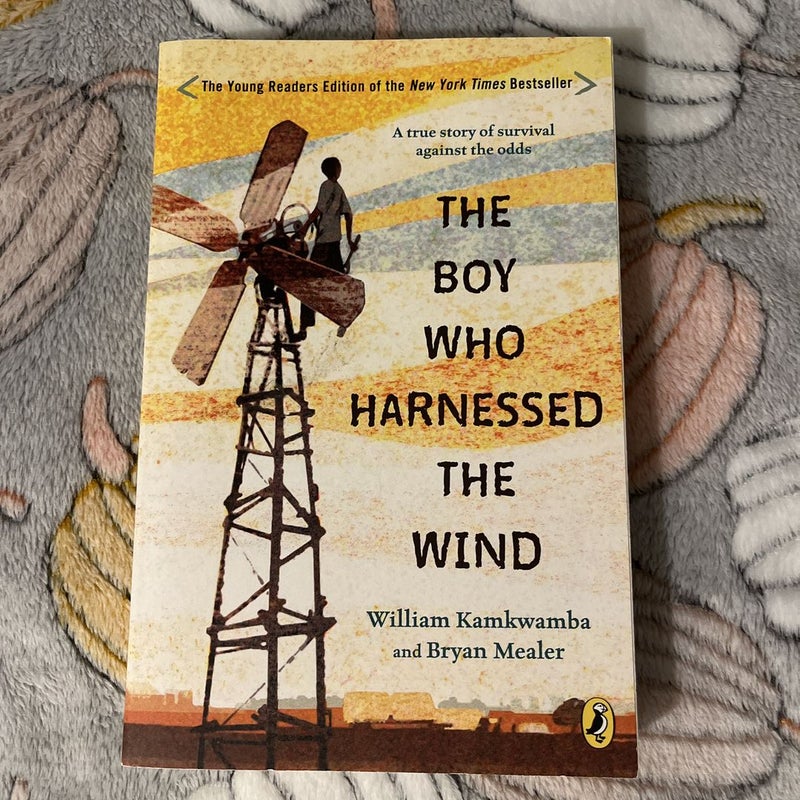 The Boy Who Harnessed the Wind