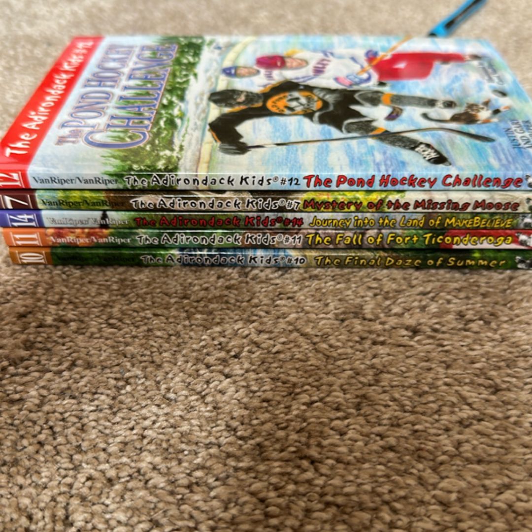 The adirondack kids 