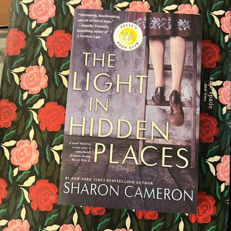 The Light in Hidden Places