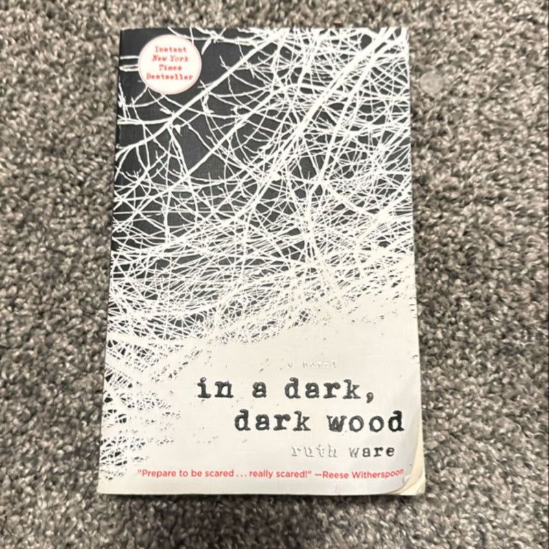 In a Dark, Dark Wood