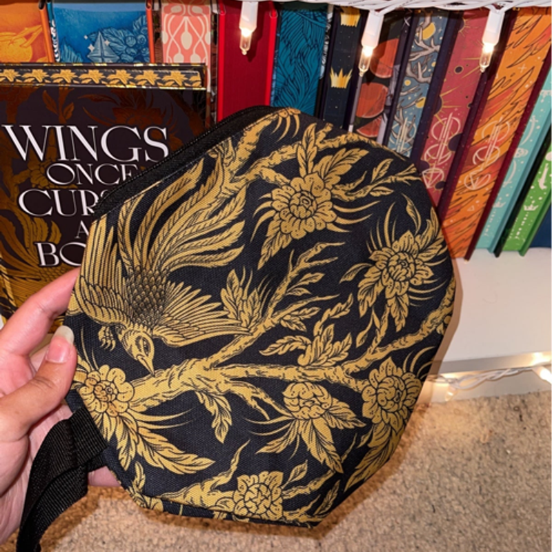 Bookish box wings once cursed and bound