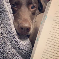 I_read_to_Charlie🐾