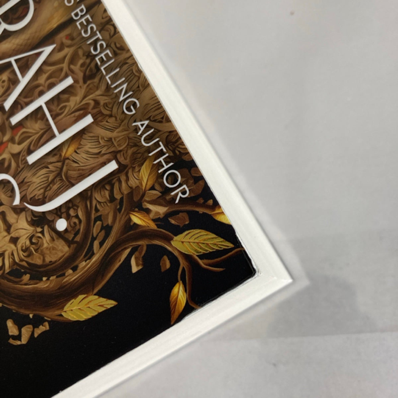 House of Flame and Shadow UK Paperback Edition 