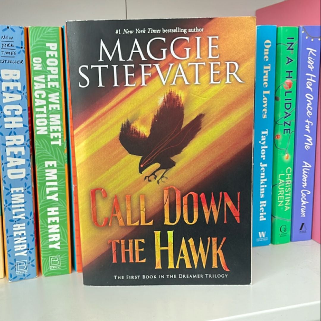 Call down the Hawk (the Dreamer Trilogy, Book 1)