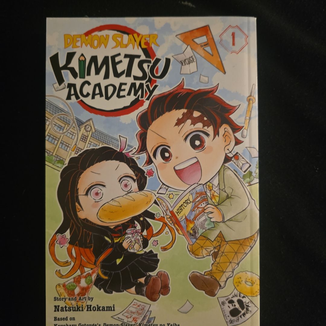 Demon Slayer: Kimetsu No Yaiba, Vol. 1