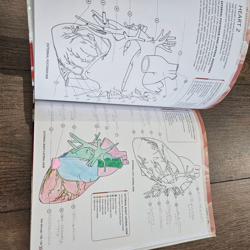 The Human Body Coloring Book