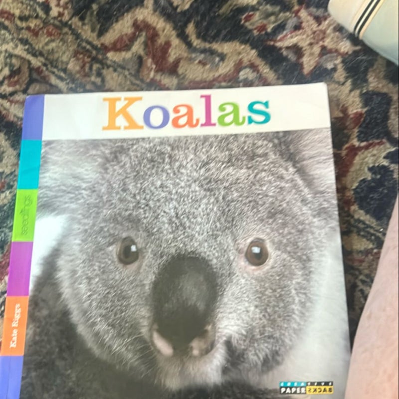 Seedlings: Koalas