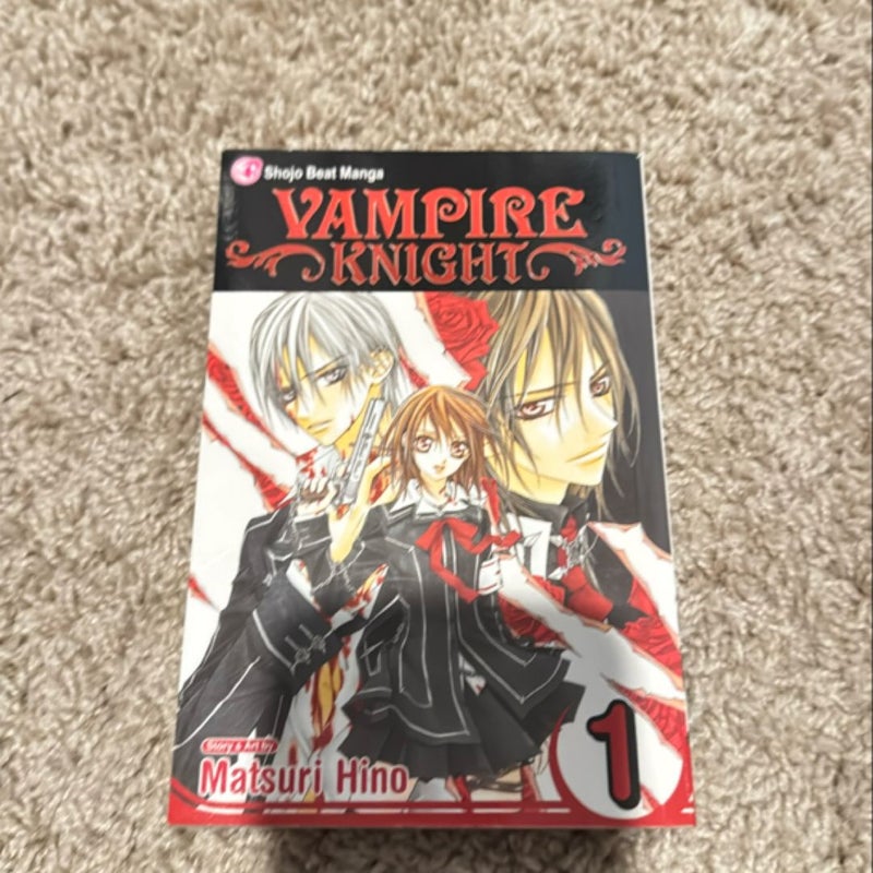 Vampire Knight, Vol. 1