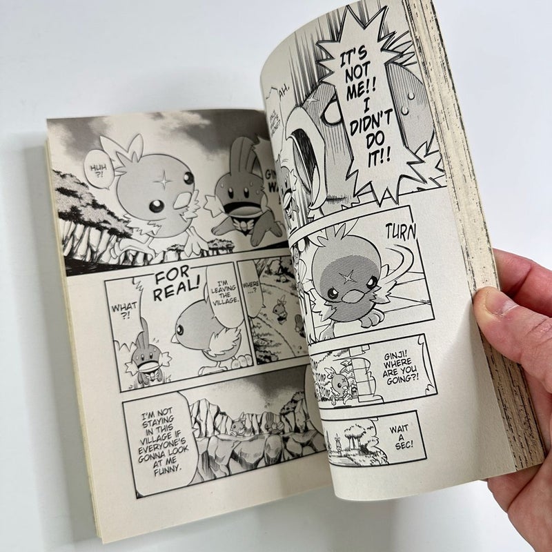 Pokemon Mystery Dungeon, Ginji’s Rescue Team Graphic Novel