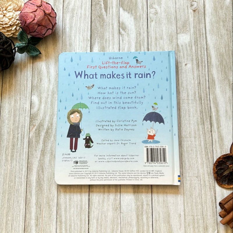 Lift-the-flap First Questions and Answers What Makes It Rain?