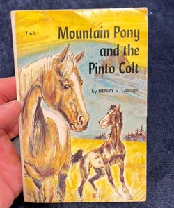 Mountain Pony and the Pinto Colt