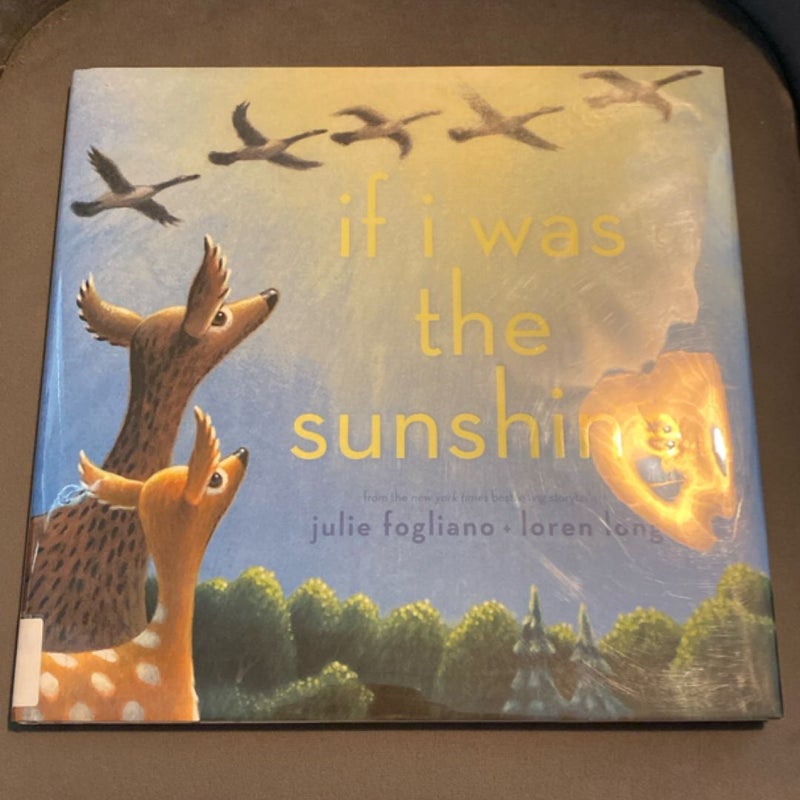If I Was the Sunshine