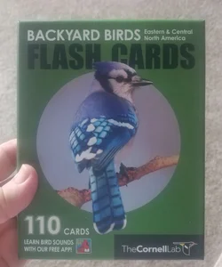 Backyard Birds Flash Cards - Eastern and Central North America