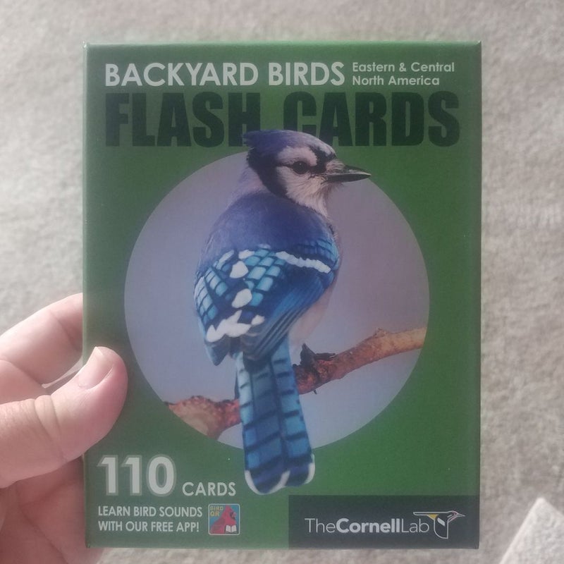 Backyard Birds Flash Cards - Eastern and Central North America