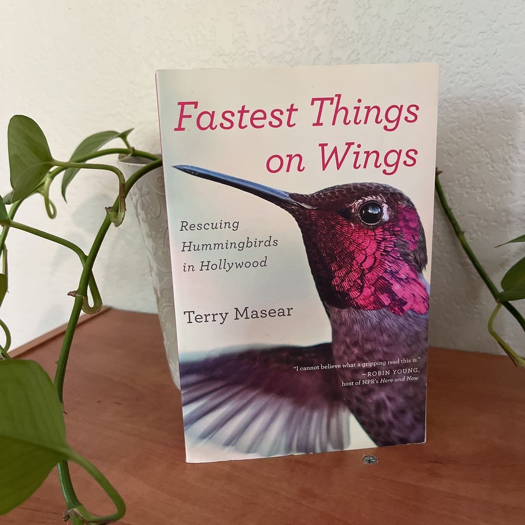 Fastest Things on Wings