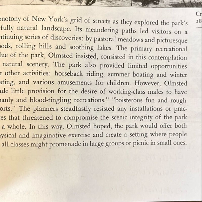 Amusing the million - Coney Island at the Turn of the Century