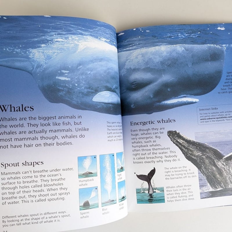 First Encyclopedia of Seas and Oceans Il by B. Denne