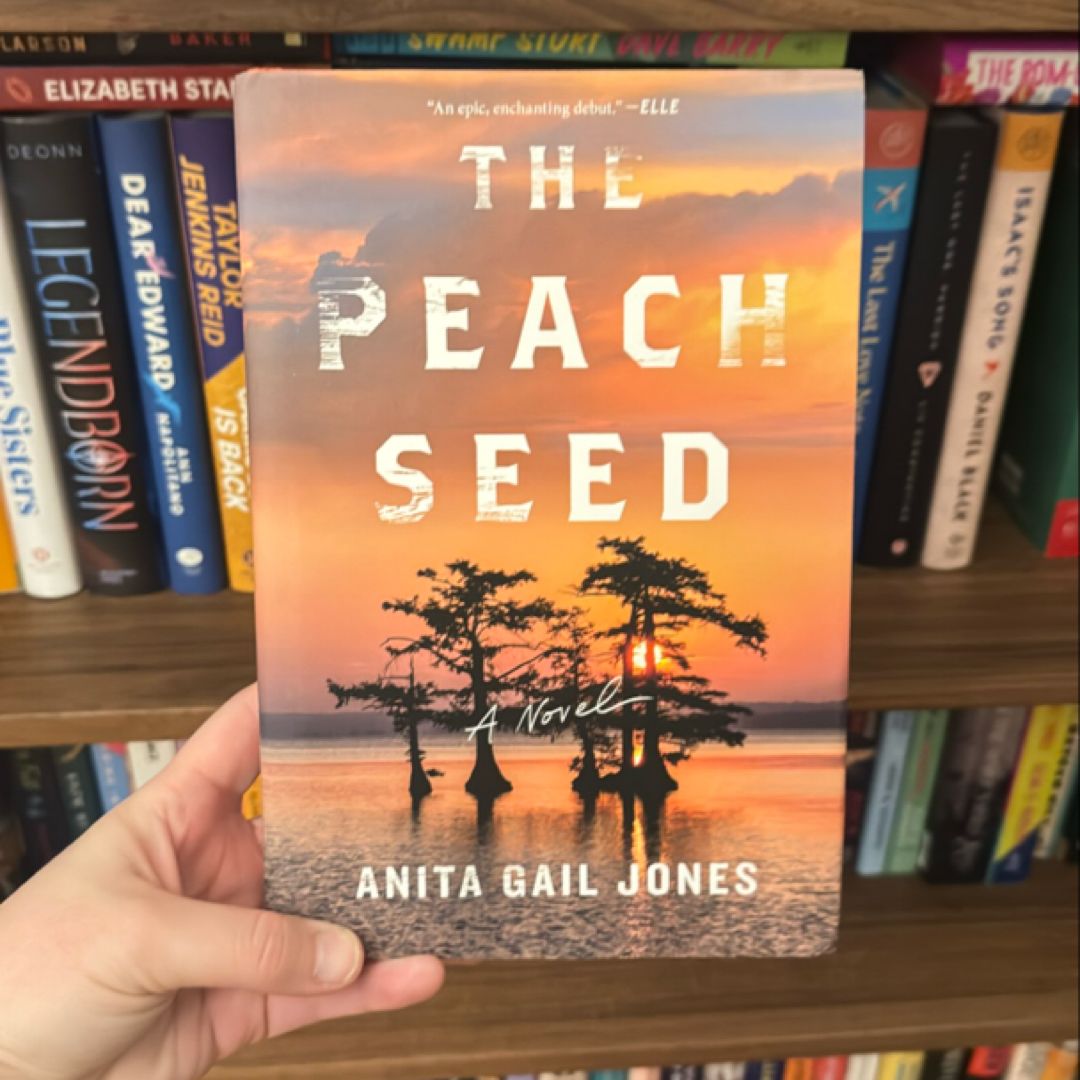 The Peach Seed book cover