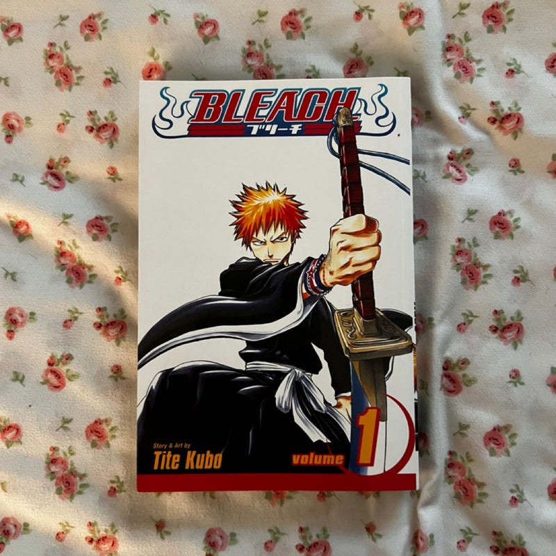 Bleach, Vol. 1