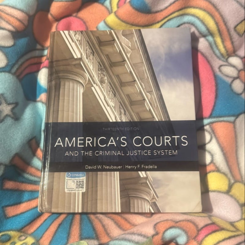 America’s Courts And The Criminal Justice System