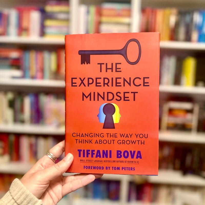 The Experience Mindset