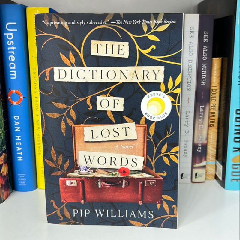 The Dictionary of Lost Words