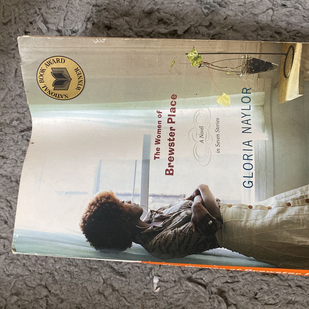 The Women of Brewster Place