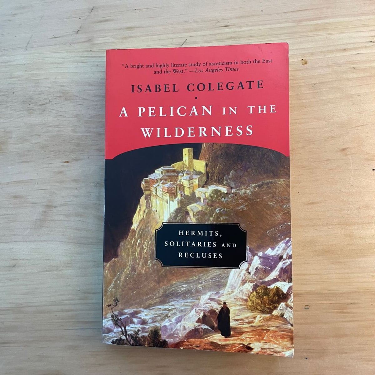 A Pelican in the Wilderness by Isabel Colegate