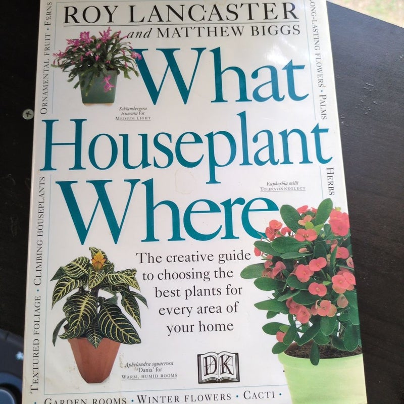 What Houseplant Where