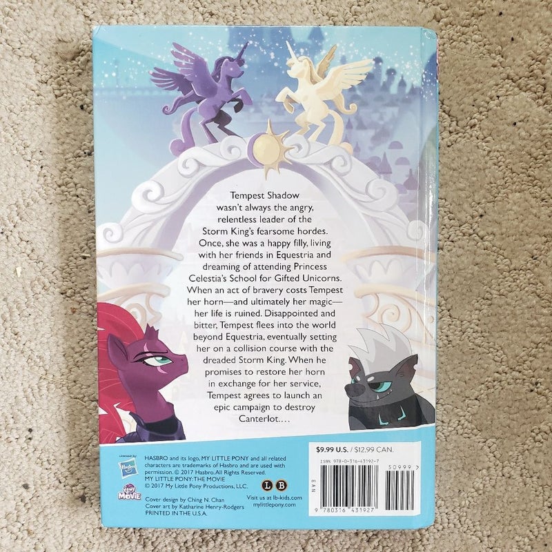 The Stormy Road to Canterlot (My Little Pony: Beyond Equestria book 1)