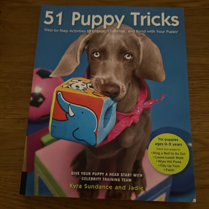51 Puppy Tricks