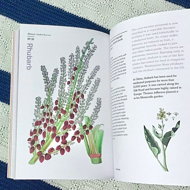 Herbal Handbook: 51 Profiles in Words and Art from the Rare Book and Folio Collections of The New York Botanical Garden