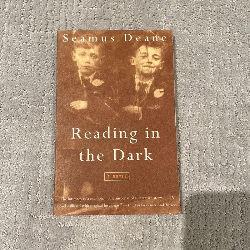 Reading in the Dark