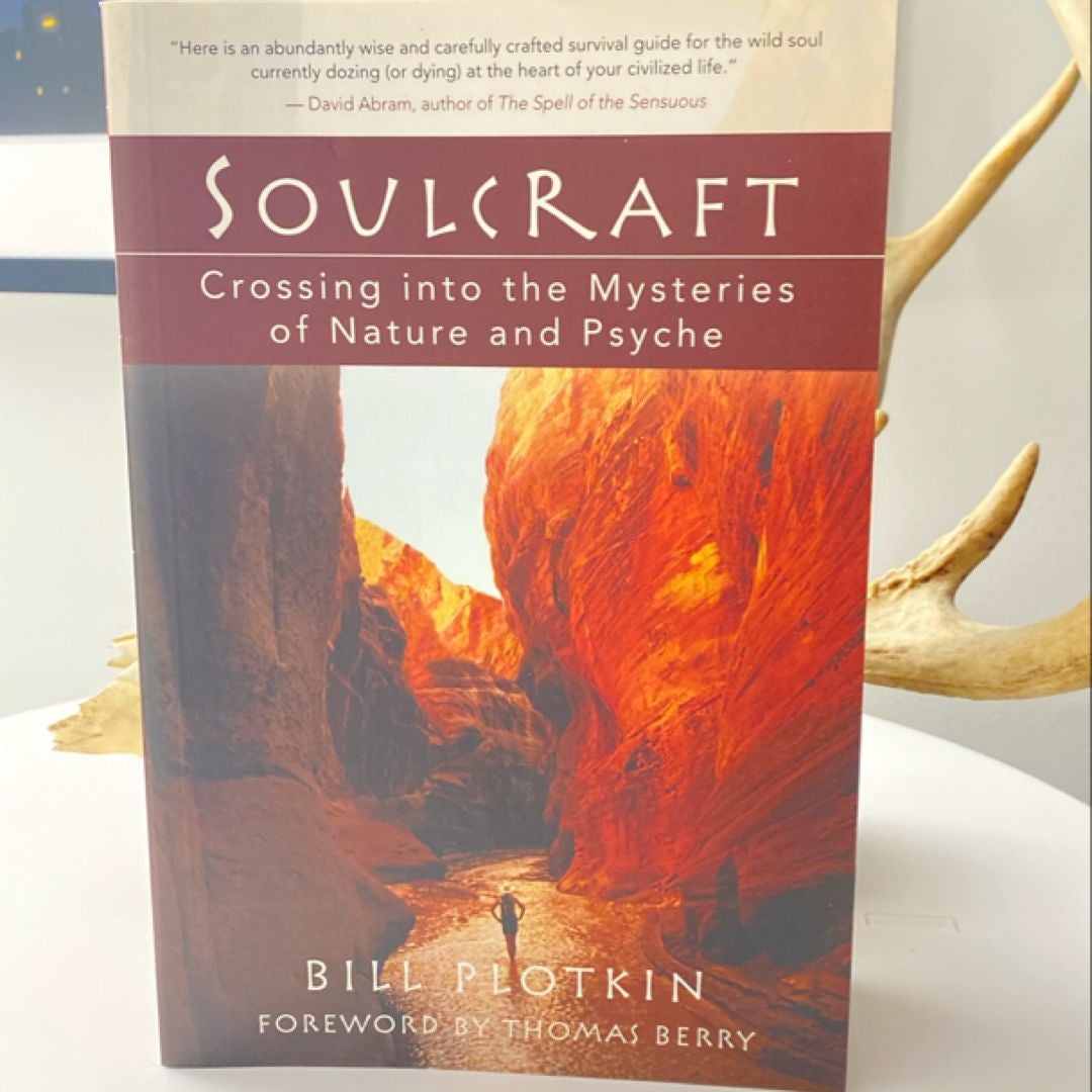 Soulcraft