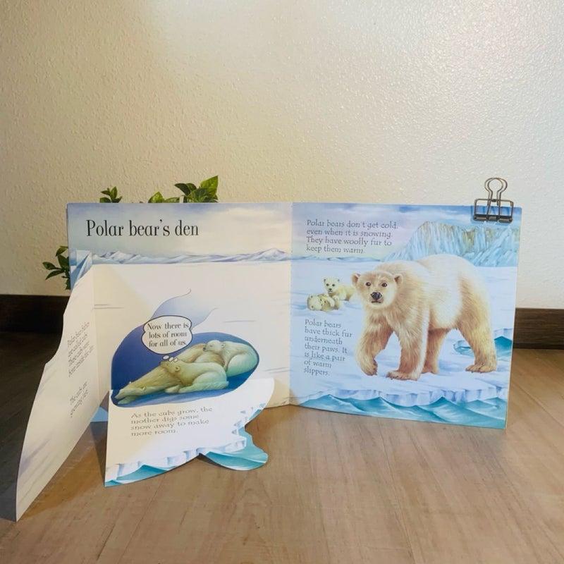 Animal Homes